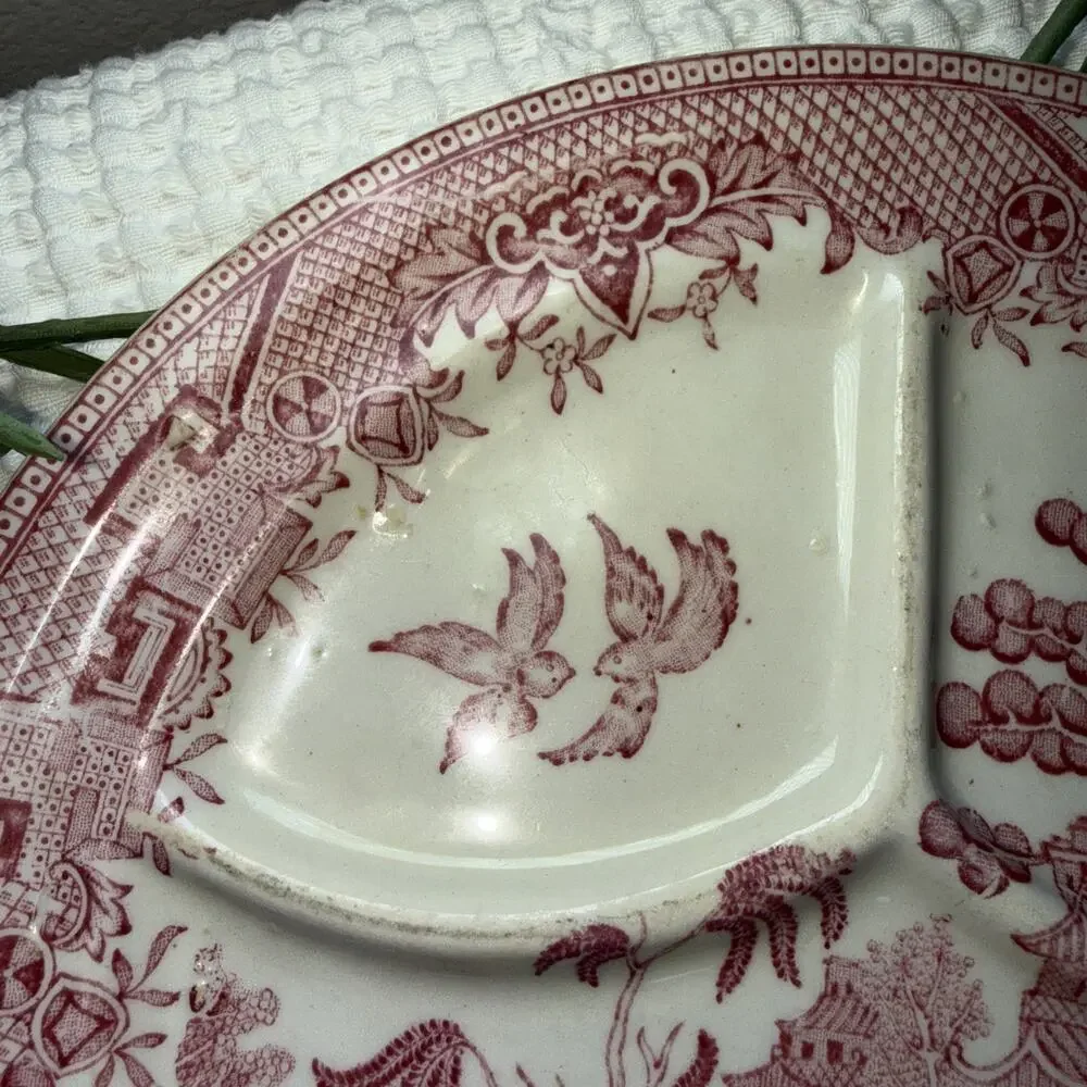 Vintage pink Rosa red Willow divided dinner plate outdoor scene birds, USA